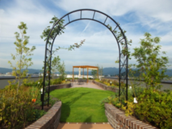 カミヒサのオフィスデザイン事例